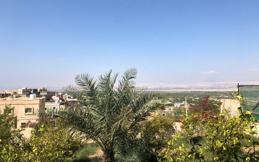 مزرعة الأمير 1